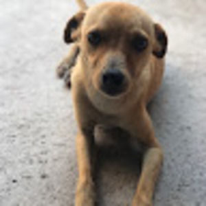 Meet your Posher, Guadalupe